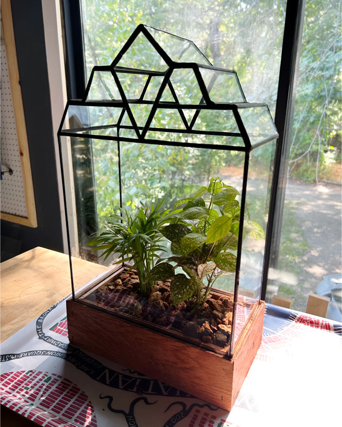 How to create and maintain an indoor terrarium