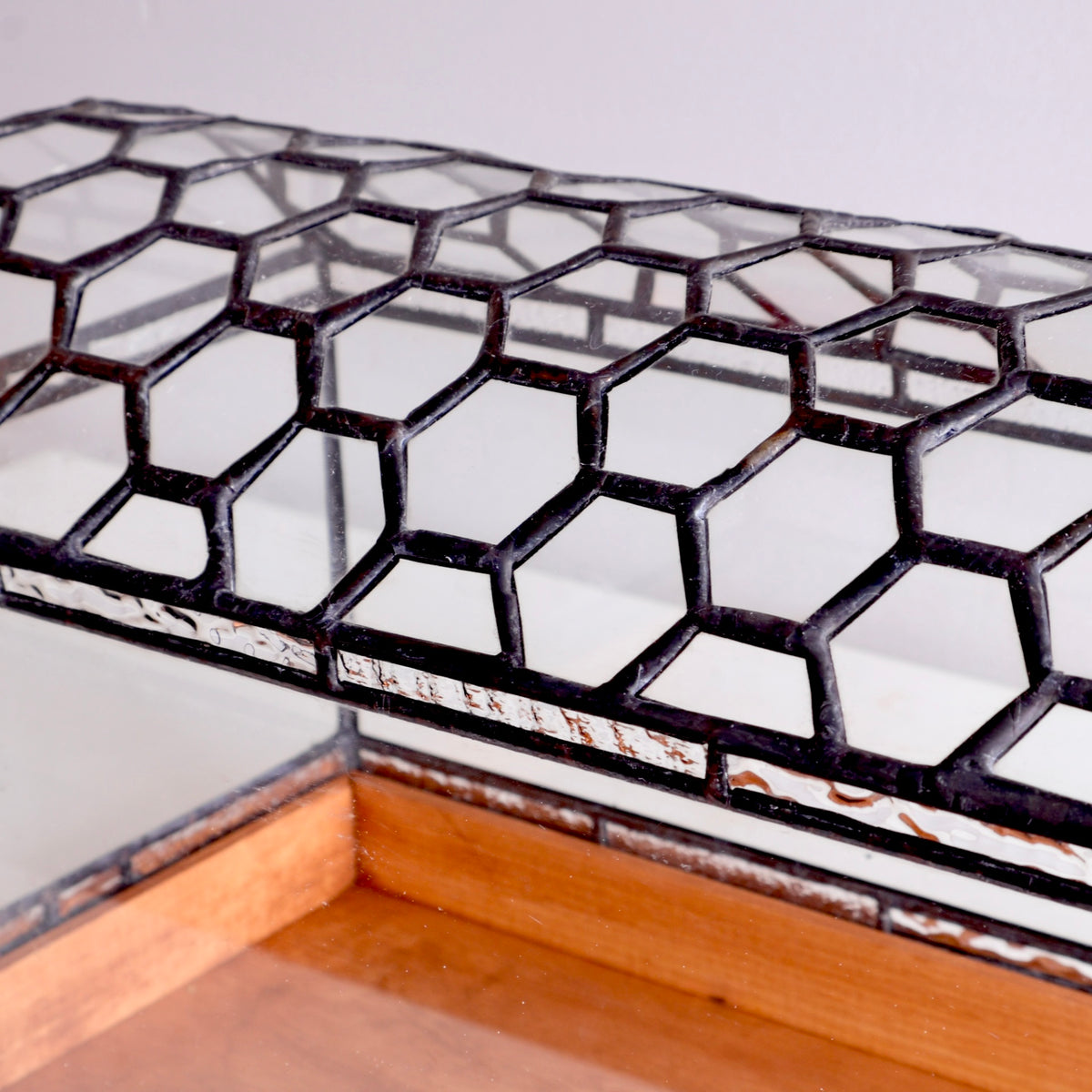 Terrarium with geometric honeycomb design on a plain background