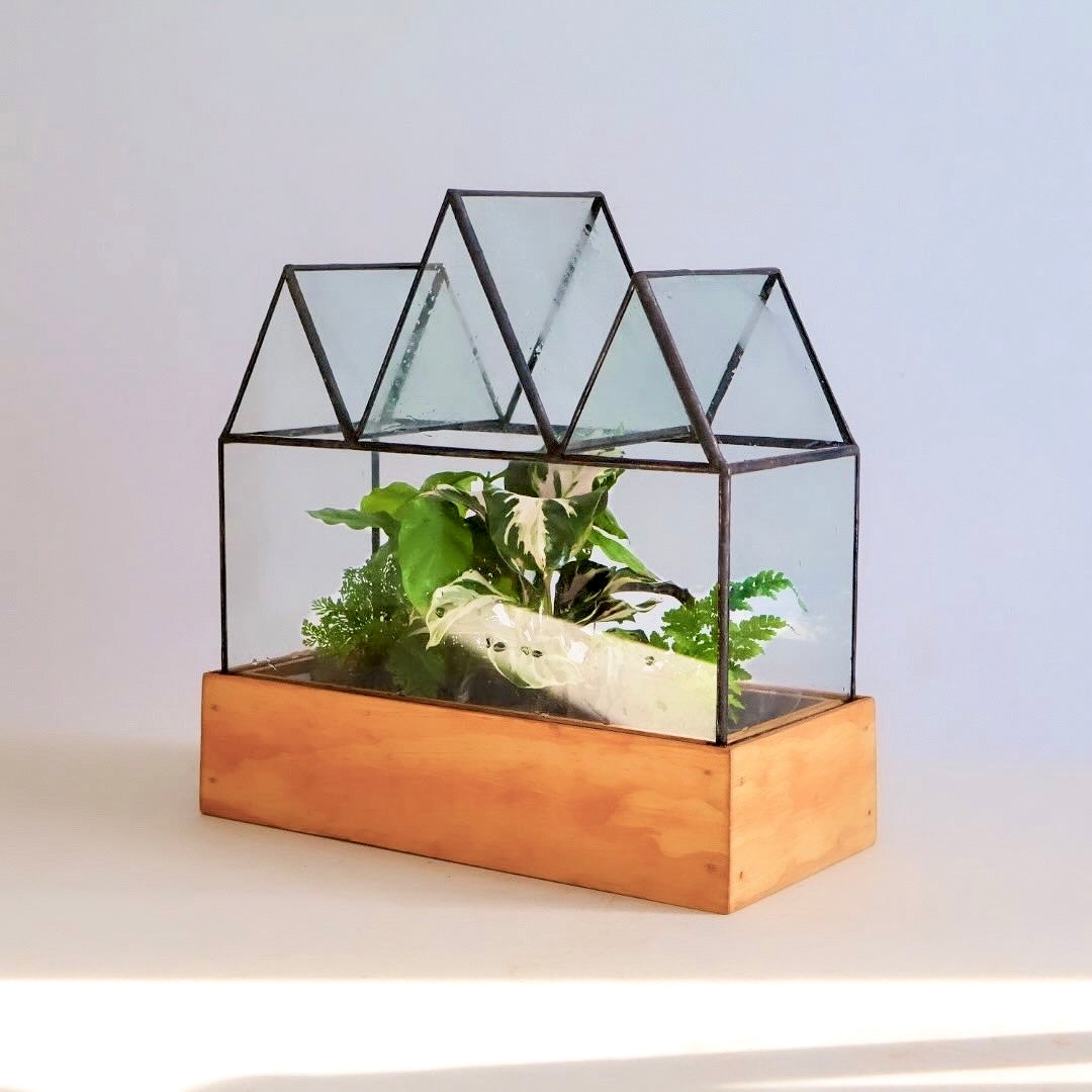 glass house plant terrarium New Fortune Case Terrarium