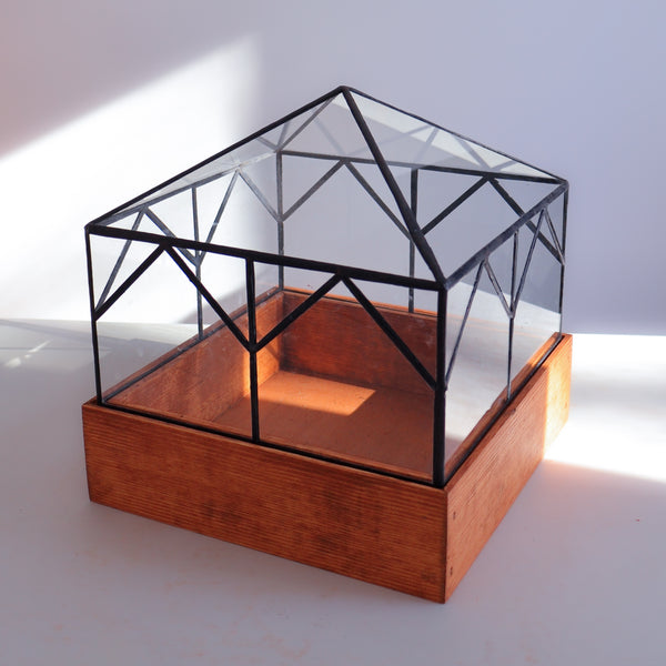 A terrarium with a wood base for home decor and plants. 