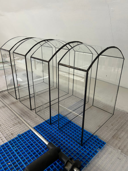 Curved Top Terrarium