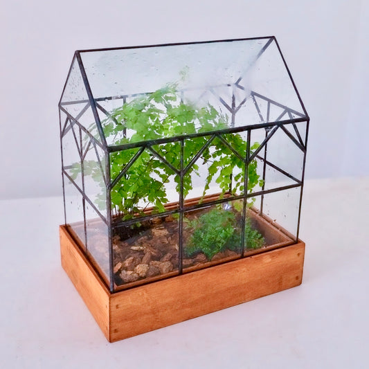Hall House Large Handcrafted Stained Glass terrarium
