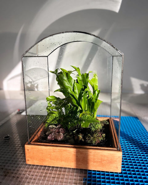 Curved Top Terrarium