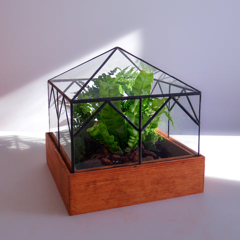 A glass handcrafted terrarium planted with beautiful green plants. 