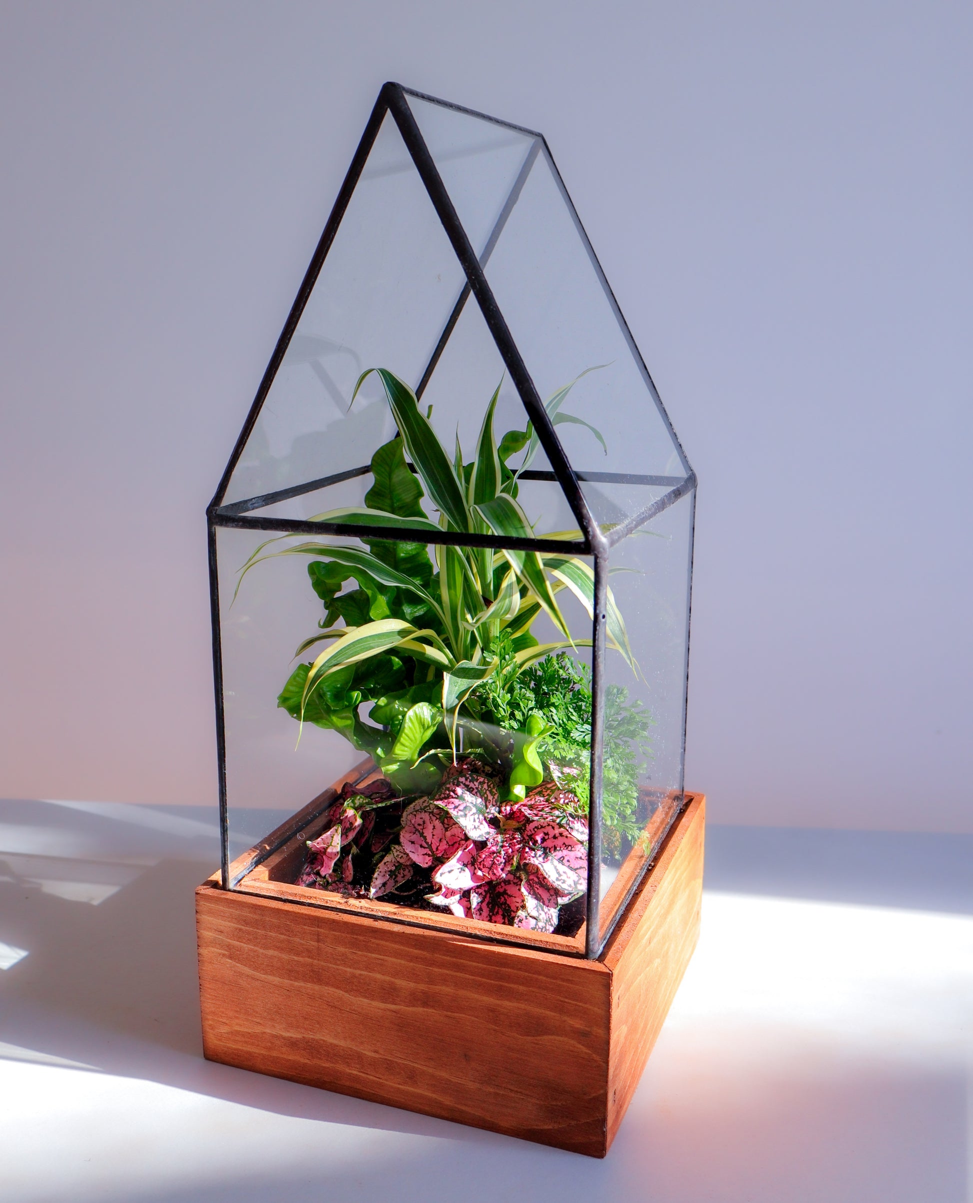 stained glass terrarium plants Cape Cod Stained Glass Terrarium