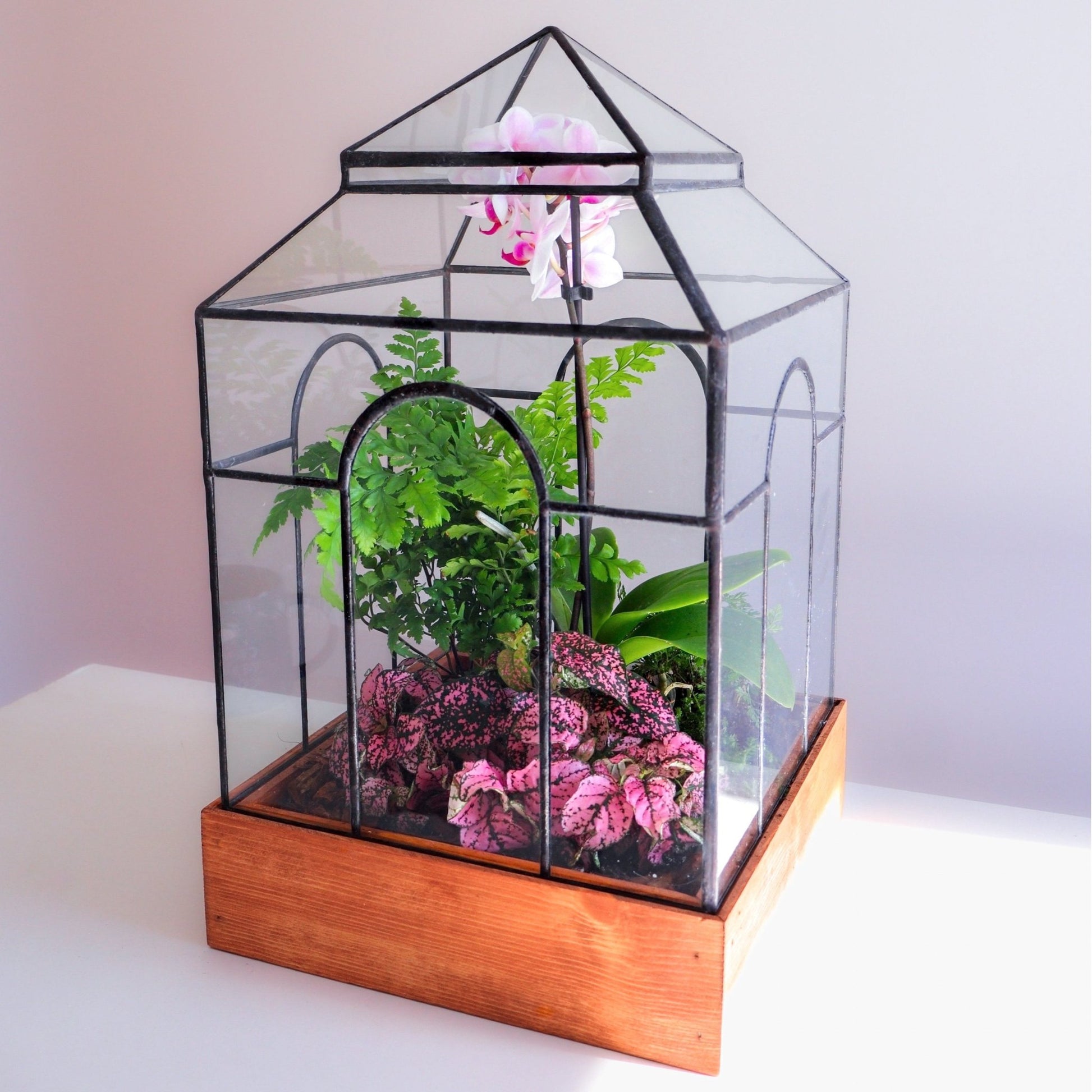 glass terrariums for plants Handmade Glass Terrarium – LeadHead Glass