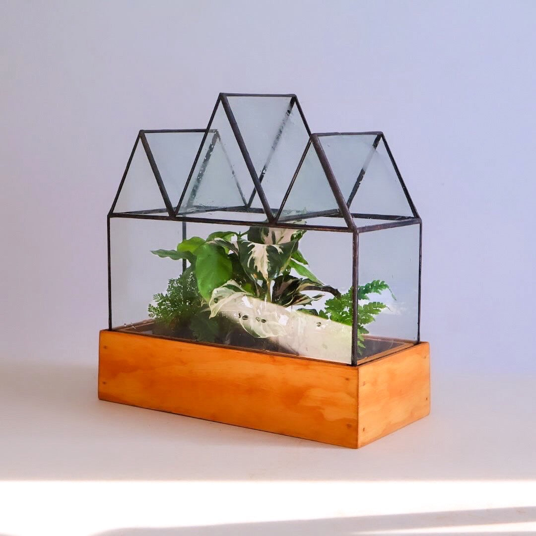 LeadHead Glass Terrariums