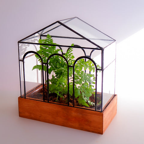 Neo Classical Handmade terrarium with arch design and a beautiful fern