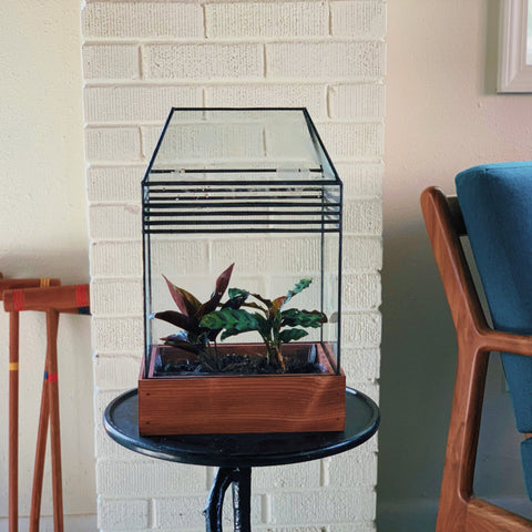 Baret Terrarium