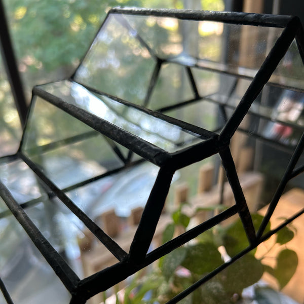 The Mendel Terrarium