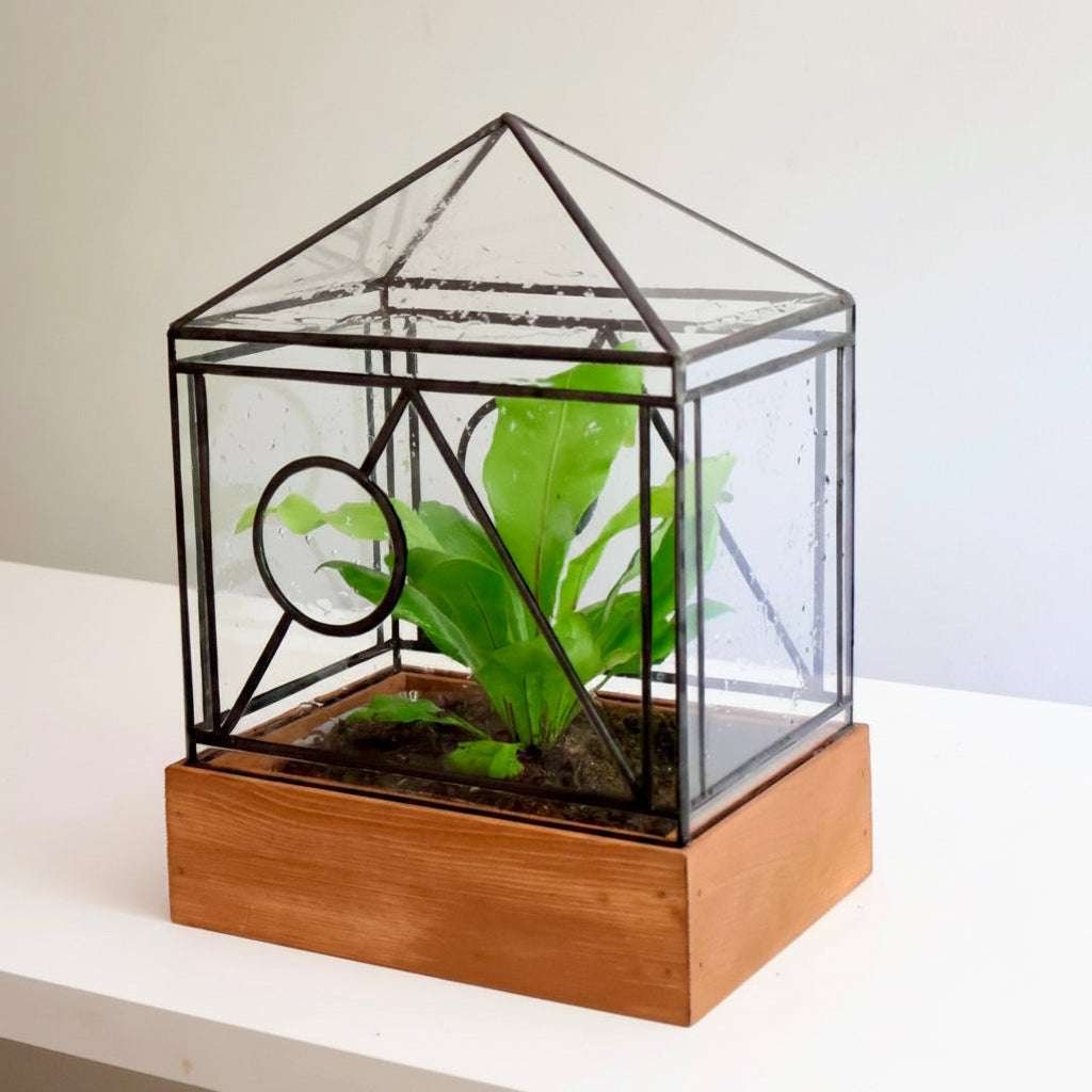 Geometric glass terrarium with a wooden base containing green plants on a white surface.