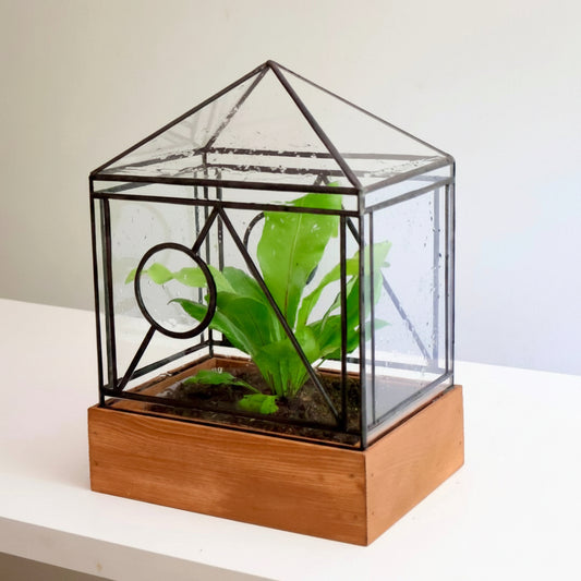 Geometric glass terrarium with a wooden base containing green plants on a white surface.