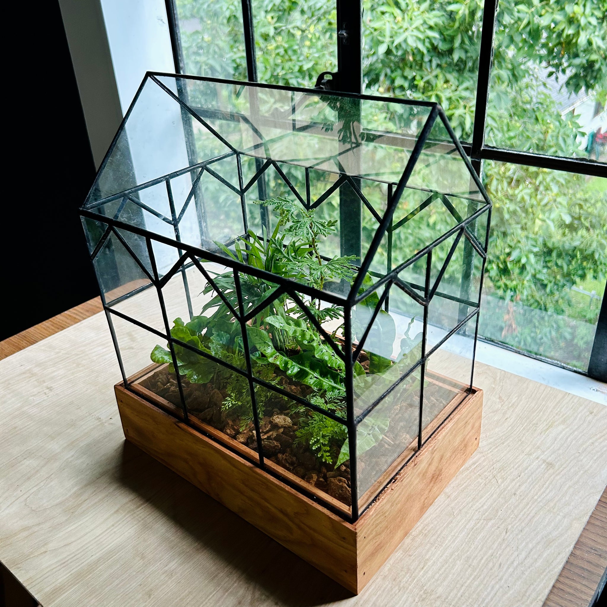 Hall House terrarium
