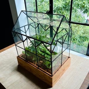 Hall House terrarium