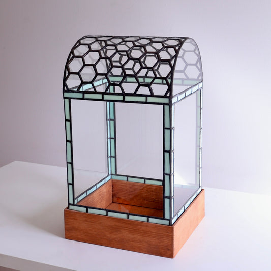 Glass terrarium with geometric hexagon pattern on a white background