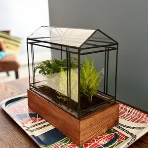 Ammal Terrarium