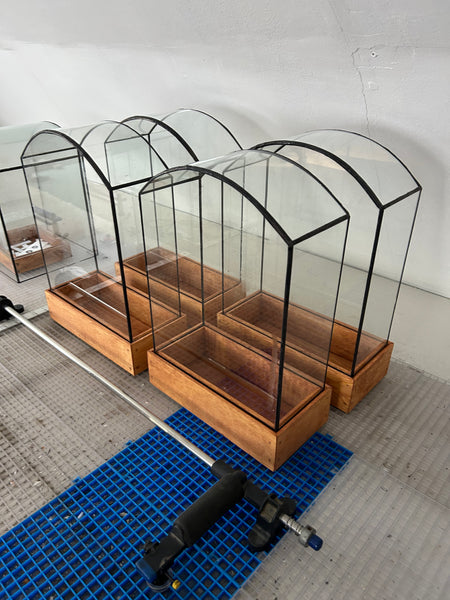 Curved Top Terrarium