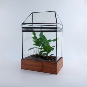 The Plant Lounge - Um, guys! The beautiful Green Glass Terrarium