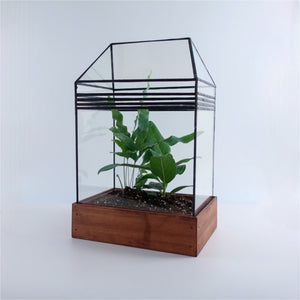 Art Deco Glass terrarium with houseplants