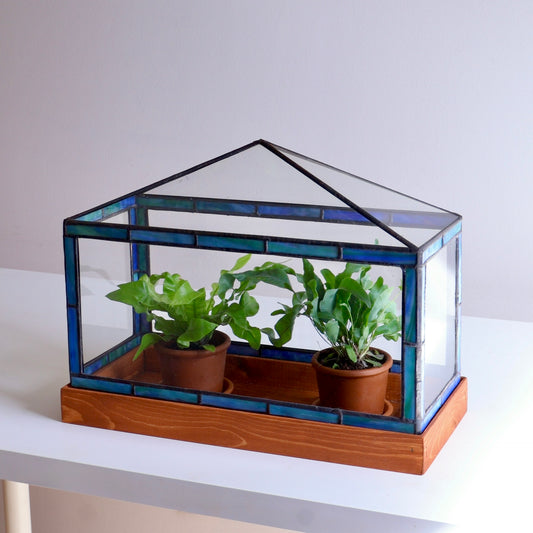 Large Glass terrarium with potted plants on a white surface