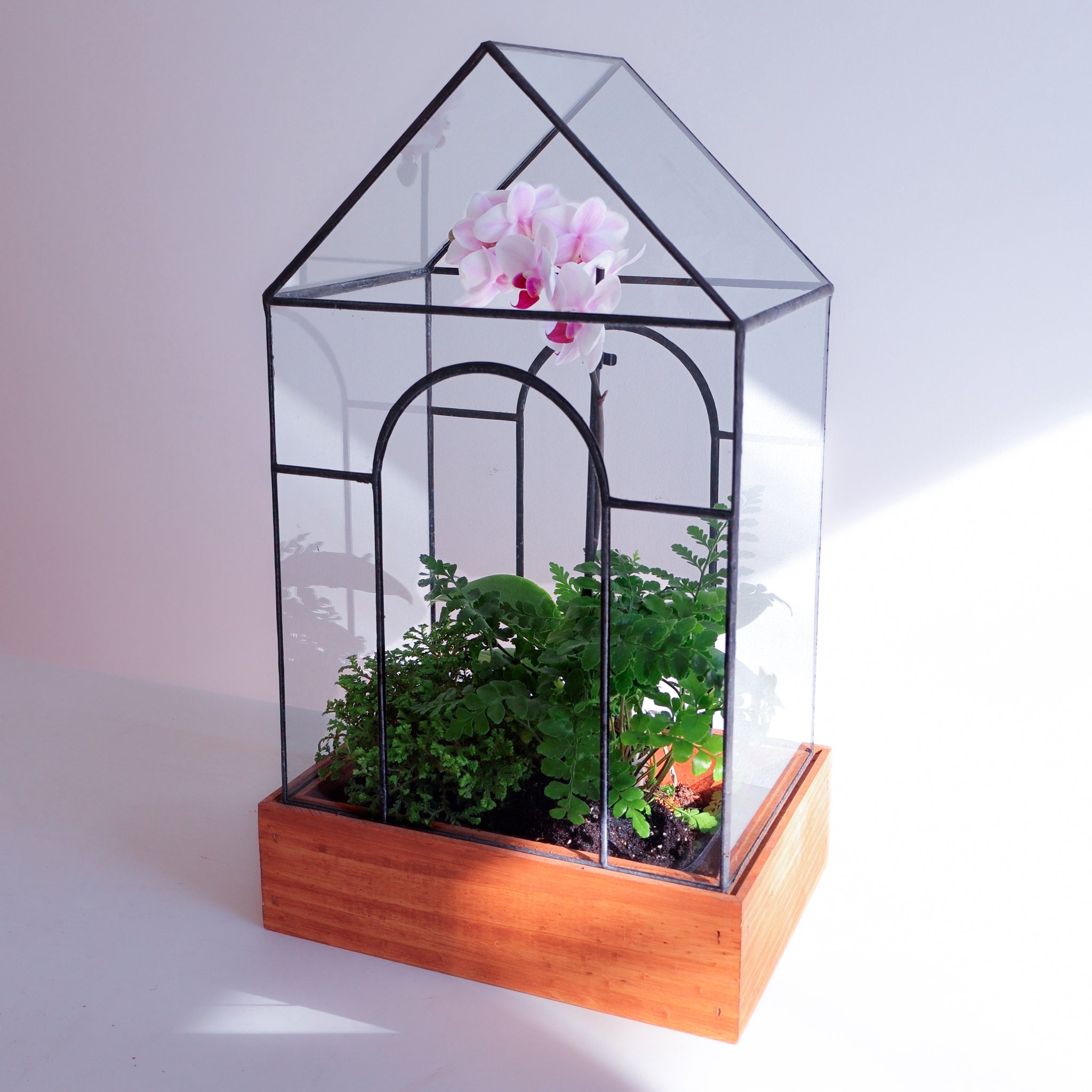 A stunning terrarium with two arches and a pointed top on a wood base. 