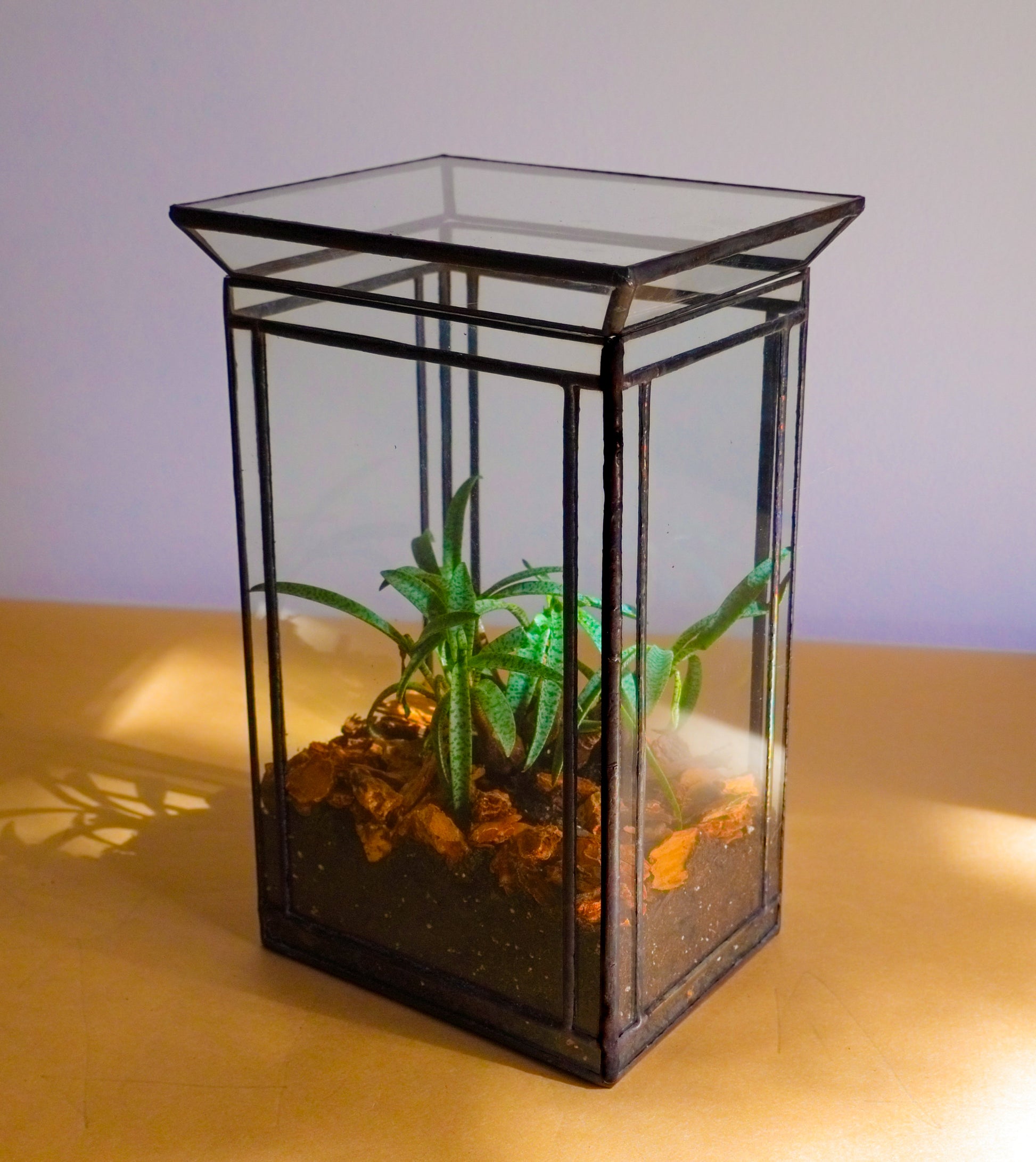 Stained glass terrarium with plants