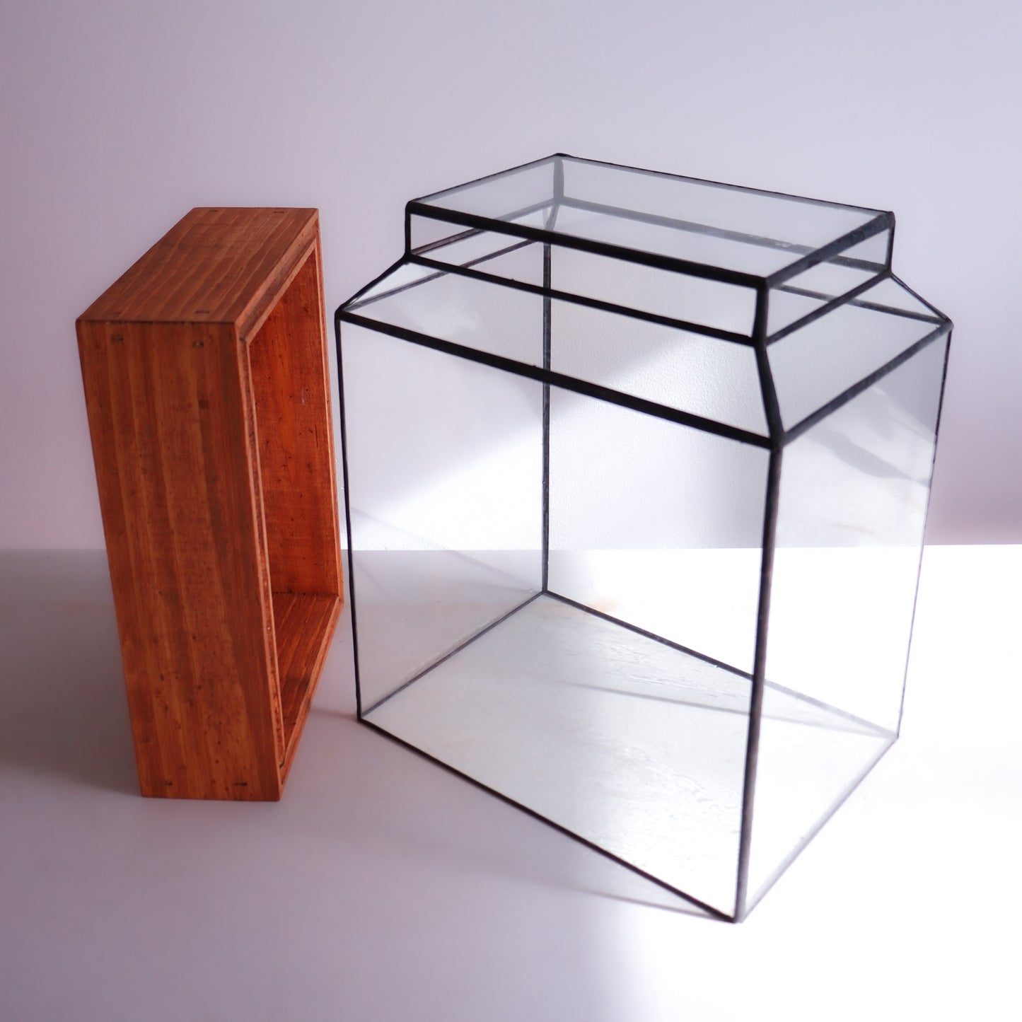 The Ward Terrarium