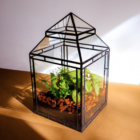 Stopes Terrarium