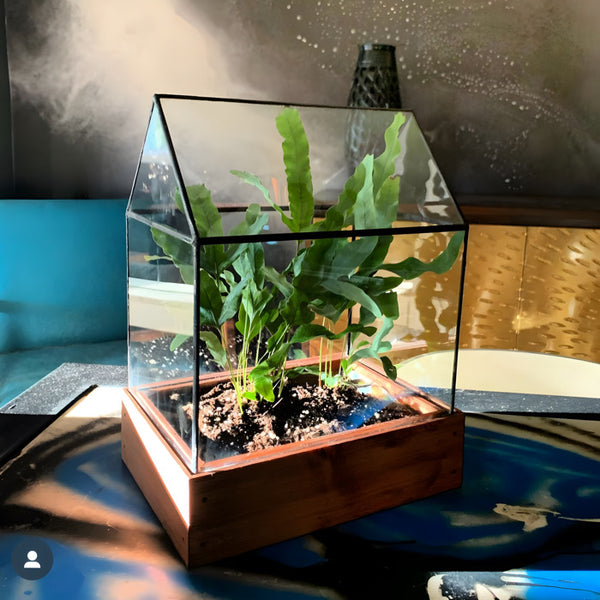 A home decor planter designed for plants