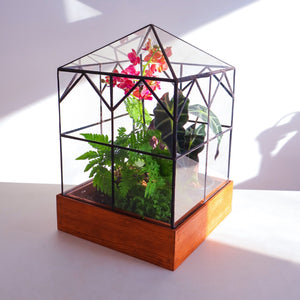 A large glass home decor terrarium with orchids, ferns, and Calathea’s. 