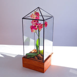 Tower Terrarium made of glass and planted with a colorful orchid.