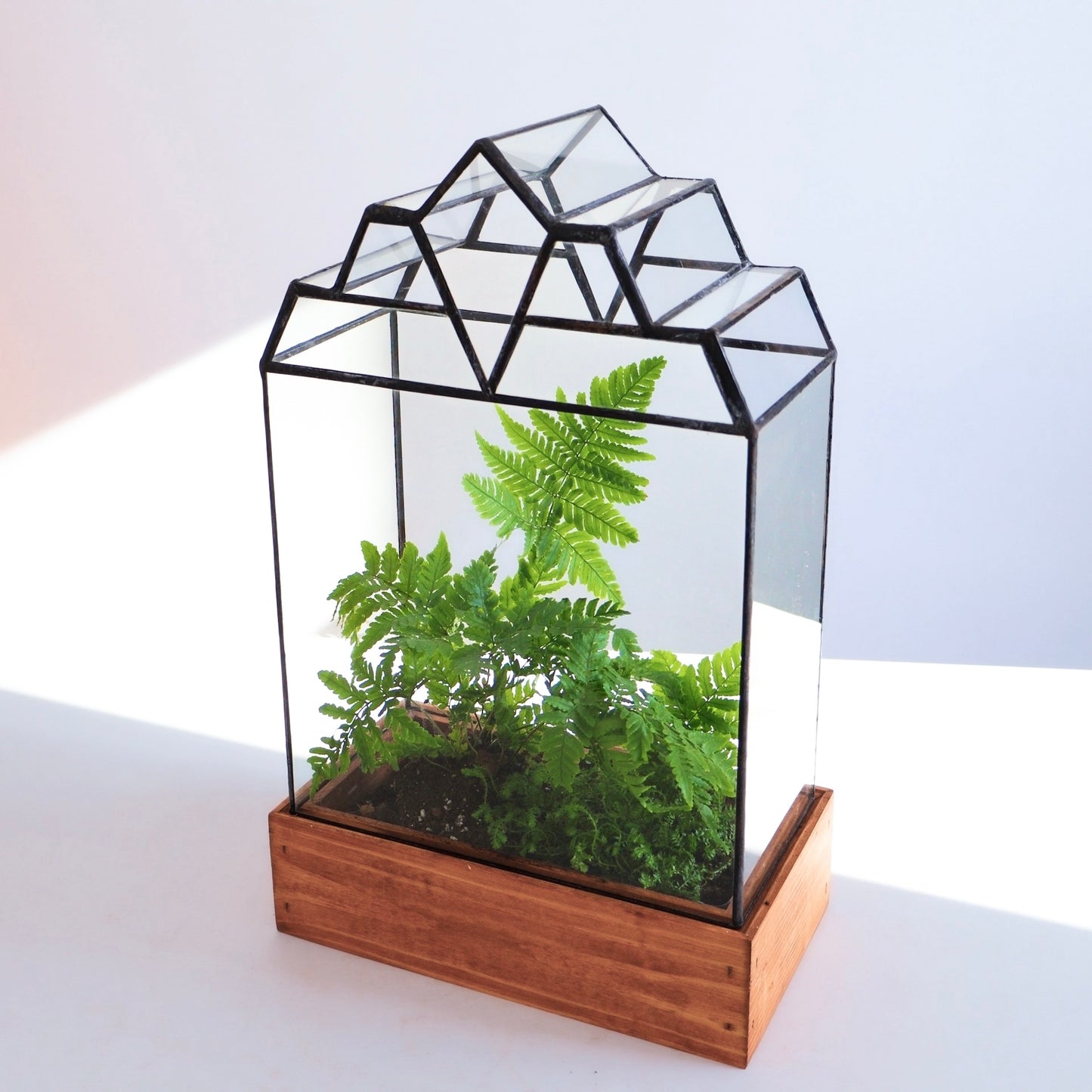 The Mendel Terrarium