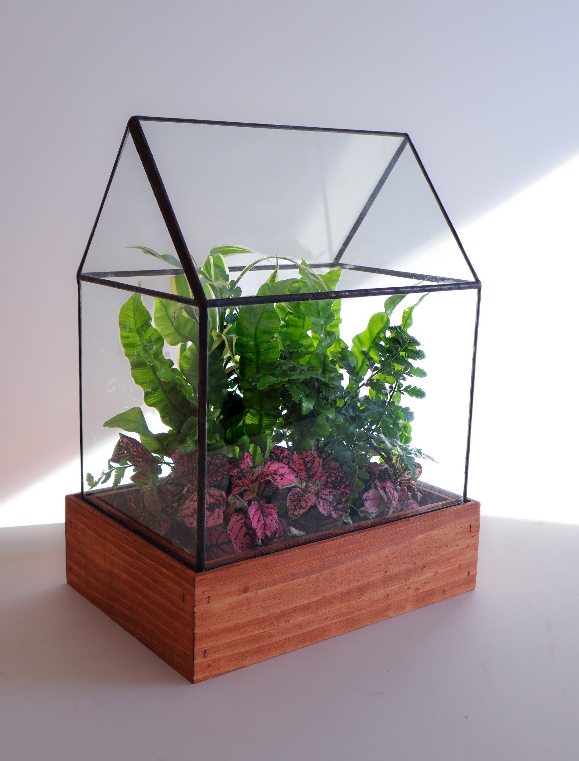 terrarium plant shop Handmade Stained Glass Terrarium – LeadHead Glass