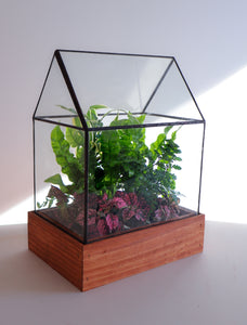 Stained Glass Terrarium planted with Ferns and Polka Dot Plants