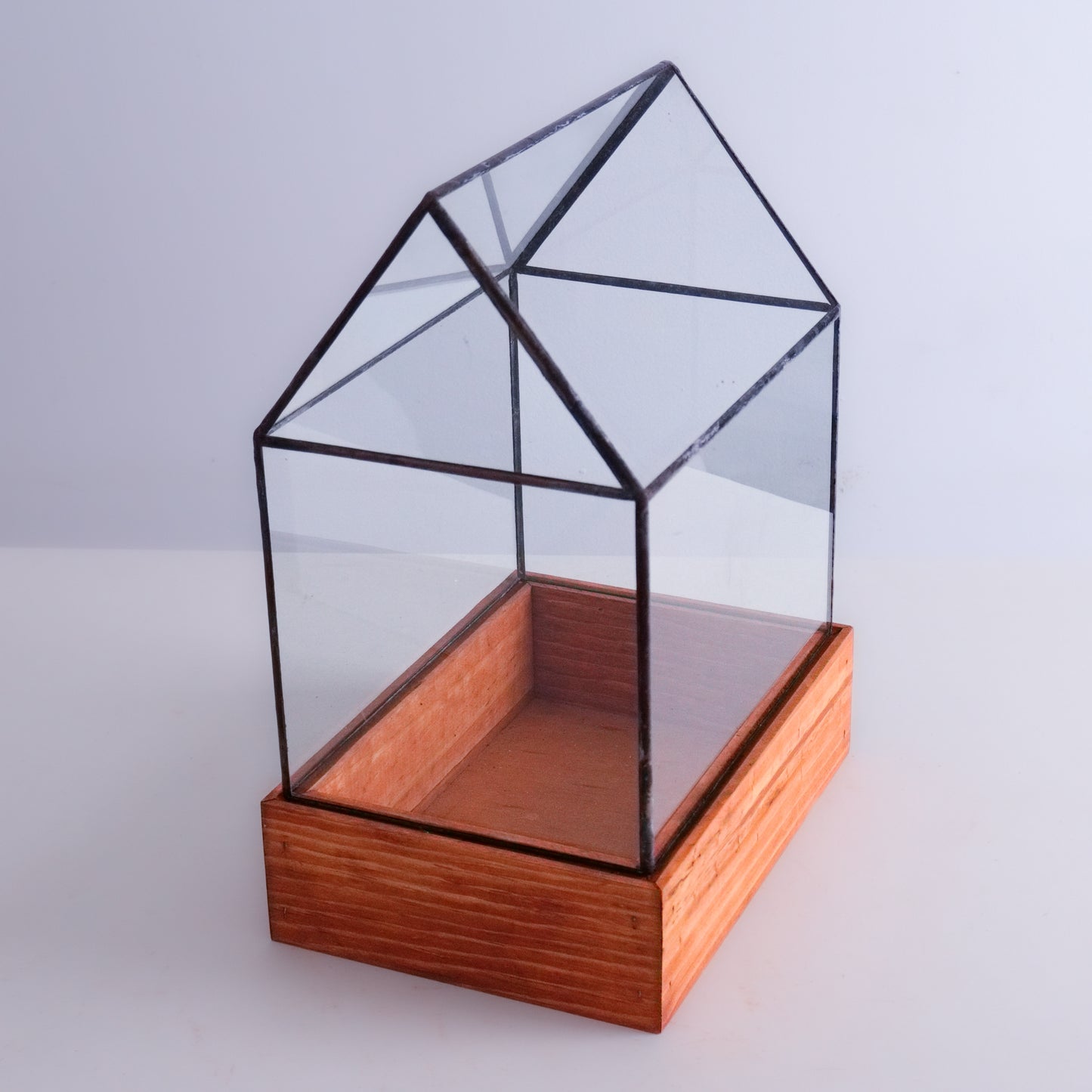 A clear glass Waridan Case on a wooden base. 