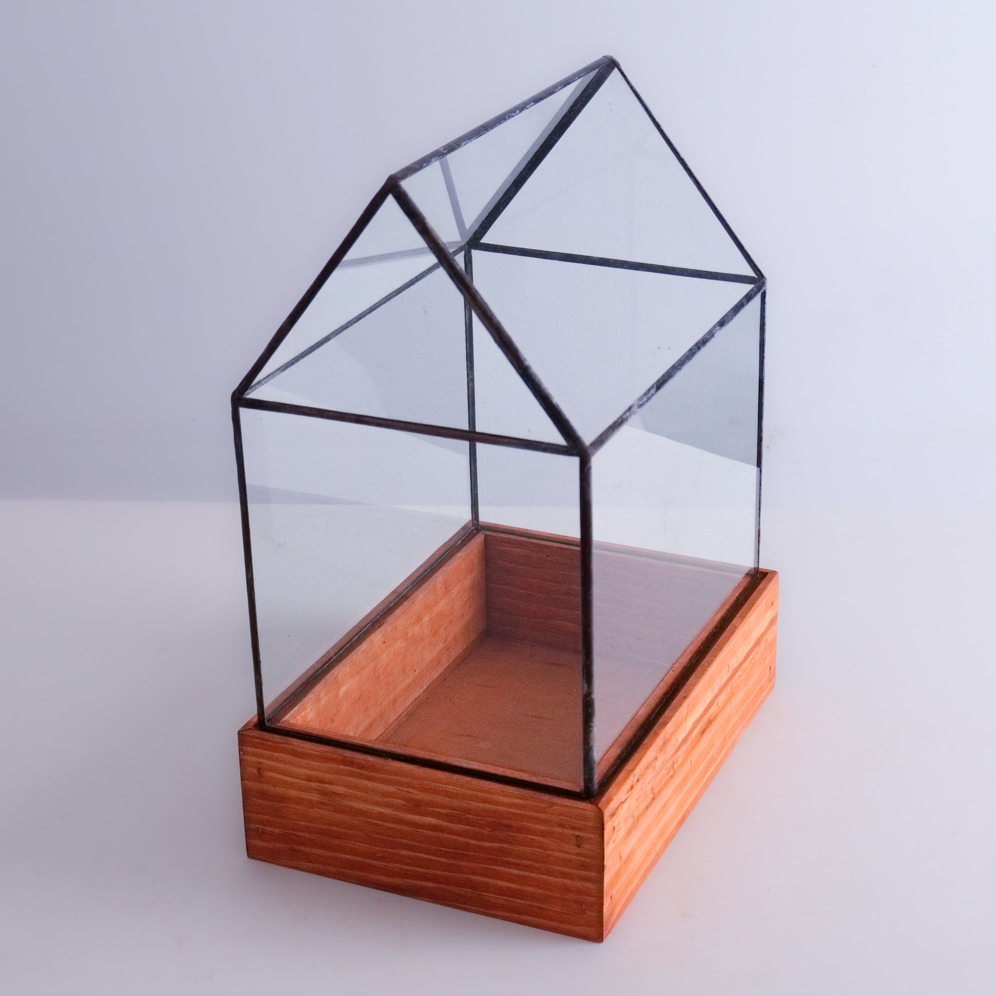 A clear glass Waridan Case on a wooden base. 