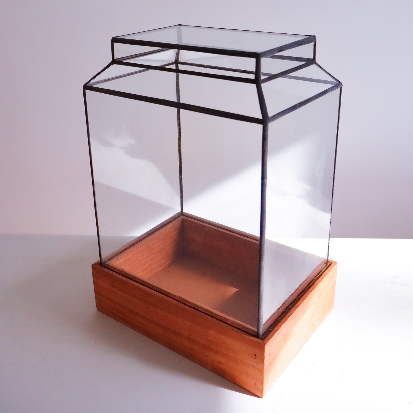 The Ward Terrarium