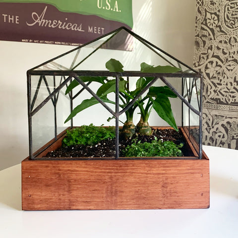 Cottage Terrarium