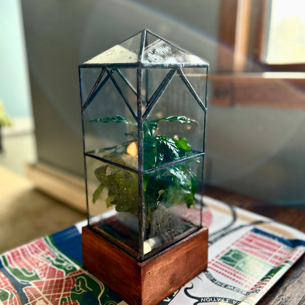Tall terrarium made from glass planted 