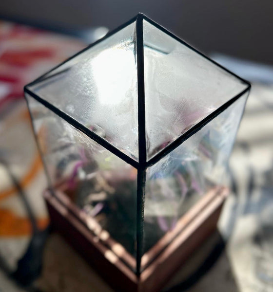 Dorman Terrarium