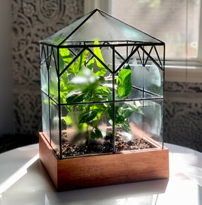 Esau Terrarium