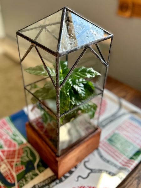 a stained glass terrarium planted 
