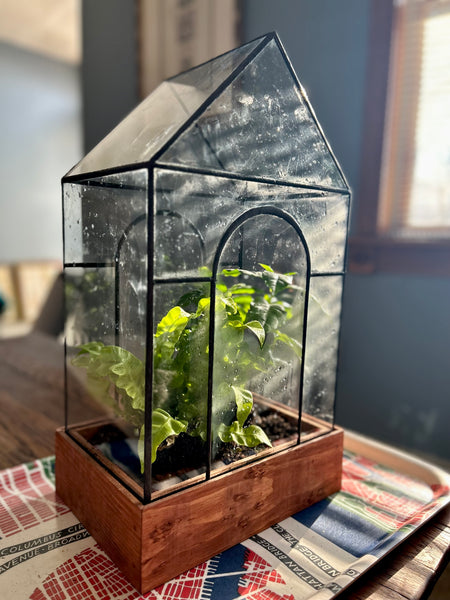 Temple Terrarium