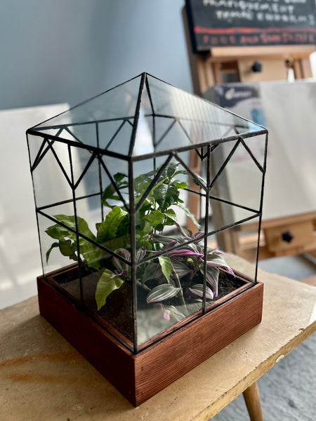 Esau Terrarium