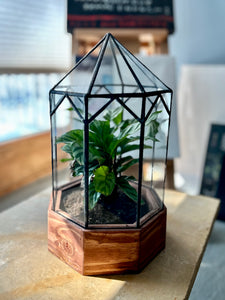 Gazebo Terrarium