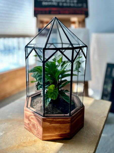 Gazebo Terrarium