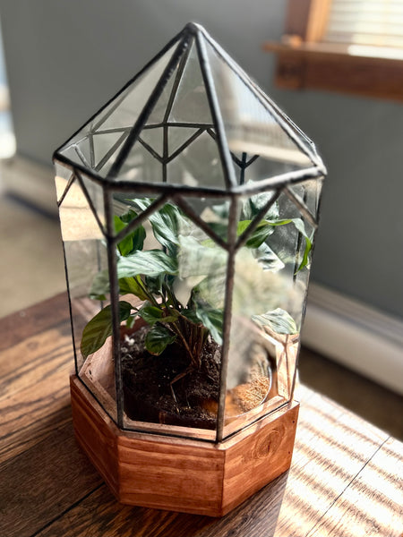Gazebo Terrarium