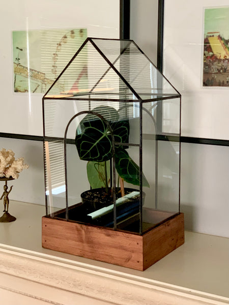Temple Terrarium