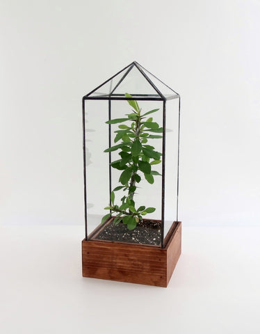 Tower Terrarium.