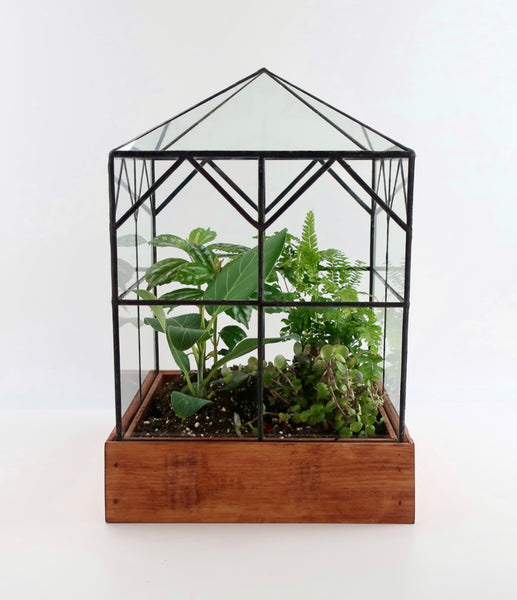 Esau Terrarium.